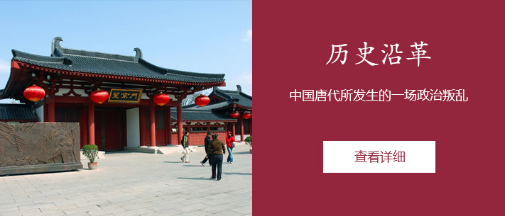 历史沿革 中国唐代所发生的一场政治叛乱