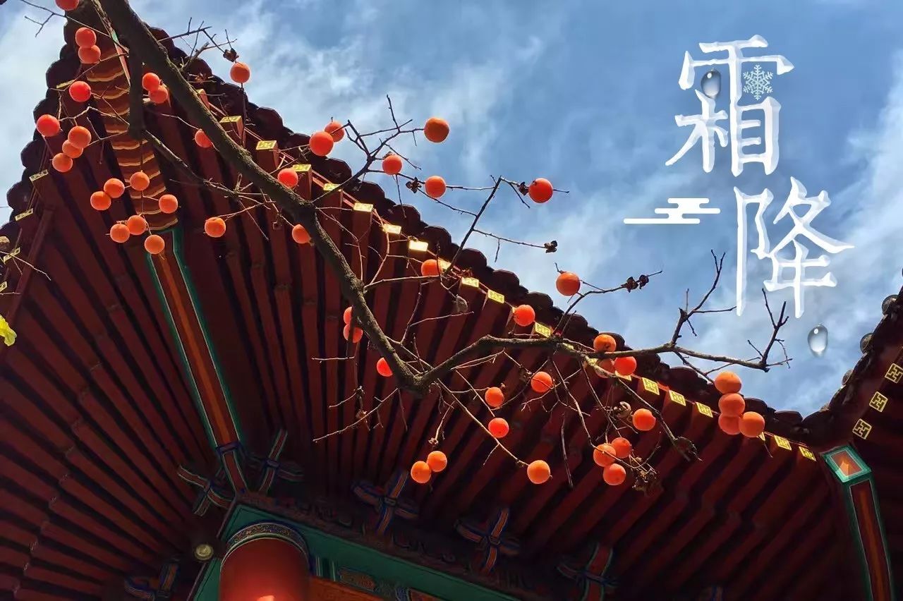 微信图片_1.jpg