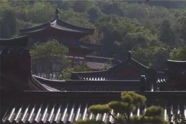 微信图3.jpg