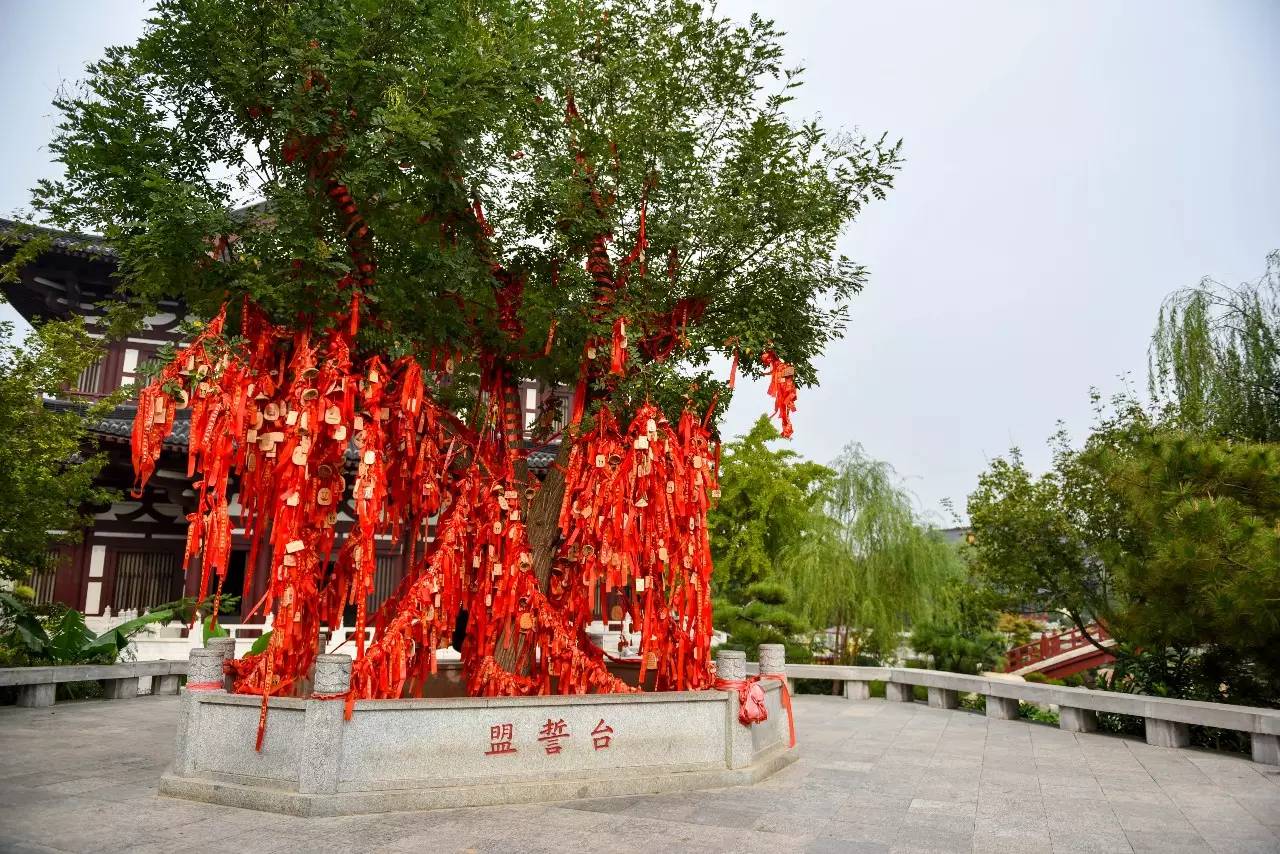 微信图片_20171026094207.jpg