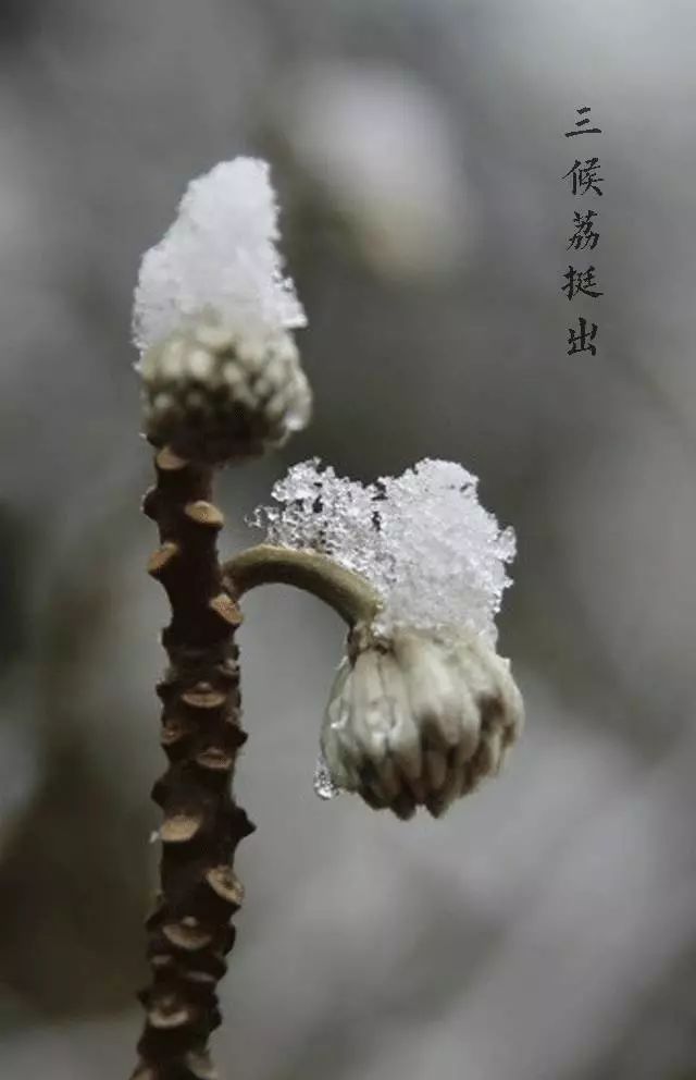 微信图片_20171207090114.jpg