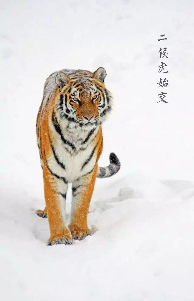 微信图片_20171207090111.jpg
