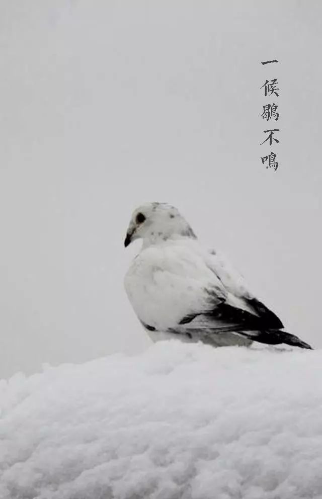 微信图片_20171207090107.jpg