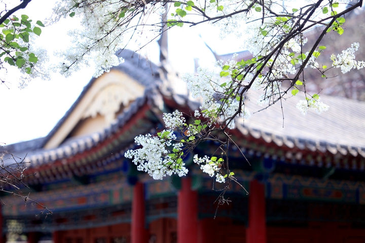 华清宫 飞檐微翘.jpg