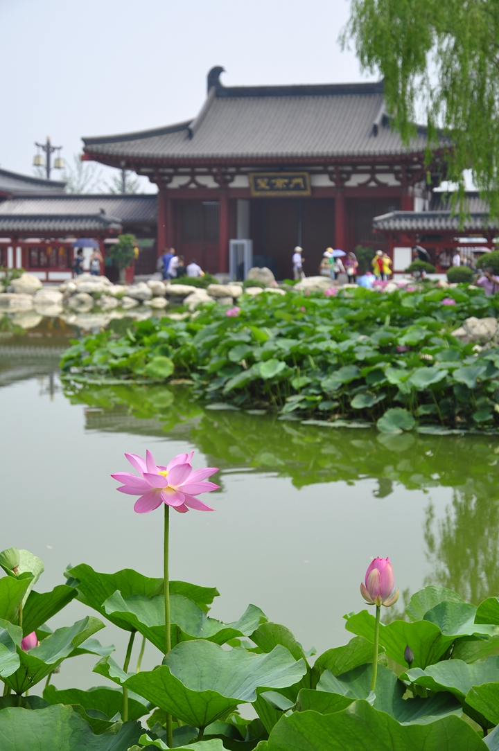 华清宫 芙蓉湖景区.jpg