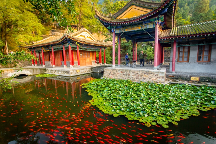 华清宫 环园内景.jpg