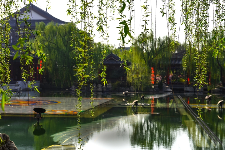 华清宫 九龙湖侧景.jpg