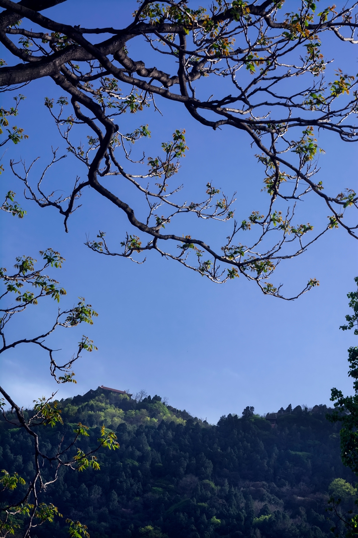 华清宫 骊山 春.jpg
