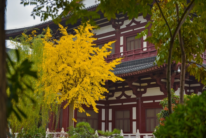 华清宫 长生殿 秋.jpg