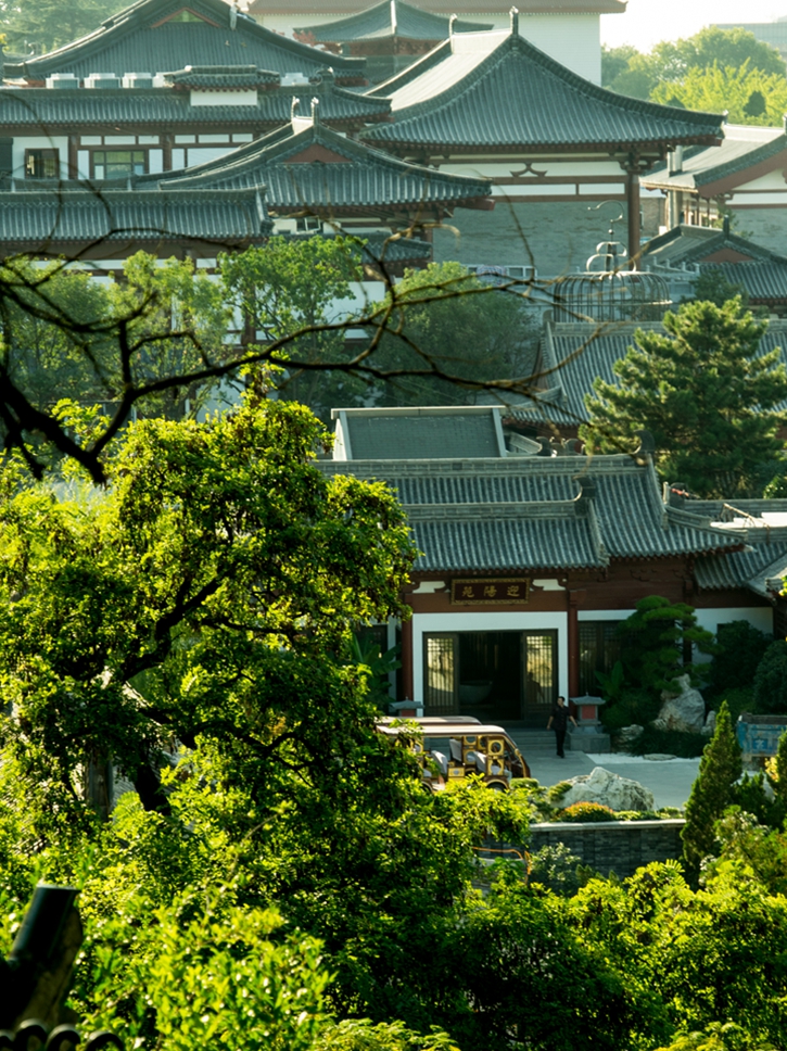 华清宫-华清御汤酒店迎阳殿.jpg