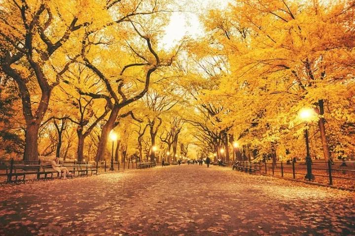 微信图片_20171020082106.jpg