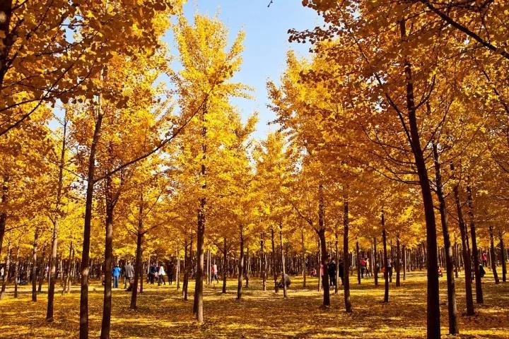 微信图片_20171020082138.jpg