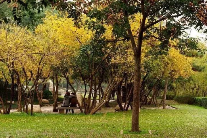 微信图片_20171020082146.jpg