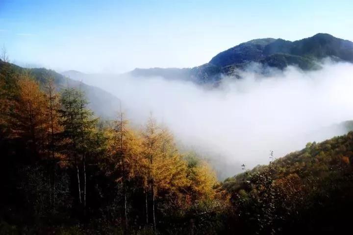 微信图片_20171020082152.jpg