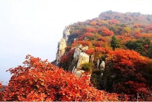微信图片_20171020082200.jpg