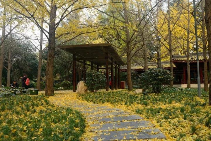 微信图片_20171020082203.jpg