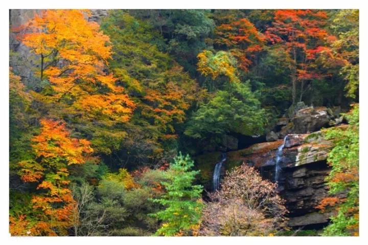 微信图片_20171020082209.jpg