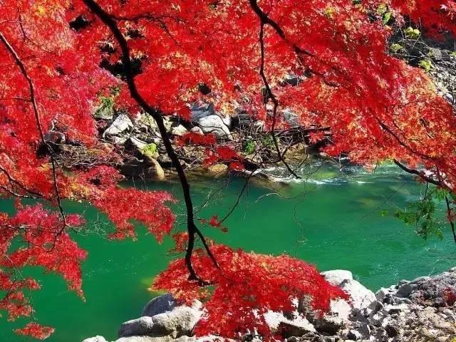 微信图片_20171020082218.jpg