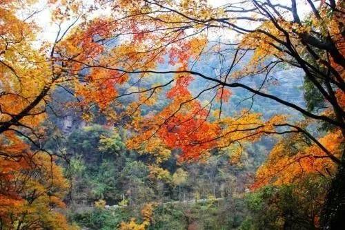 微信图片_20171020082212.jpg