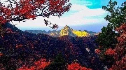 微信图片_20171020082230.jpg