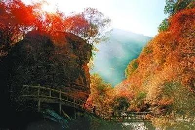 微信图片_20171020082234.jpg