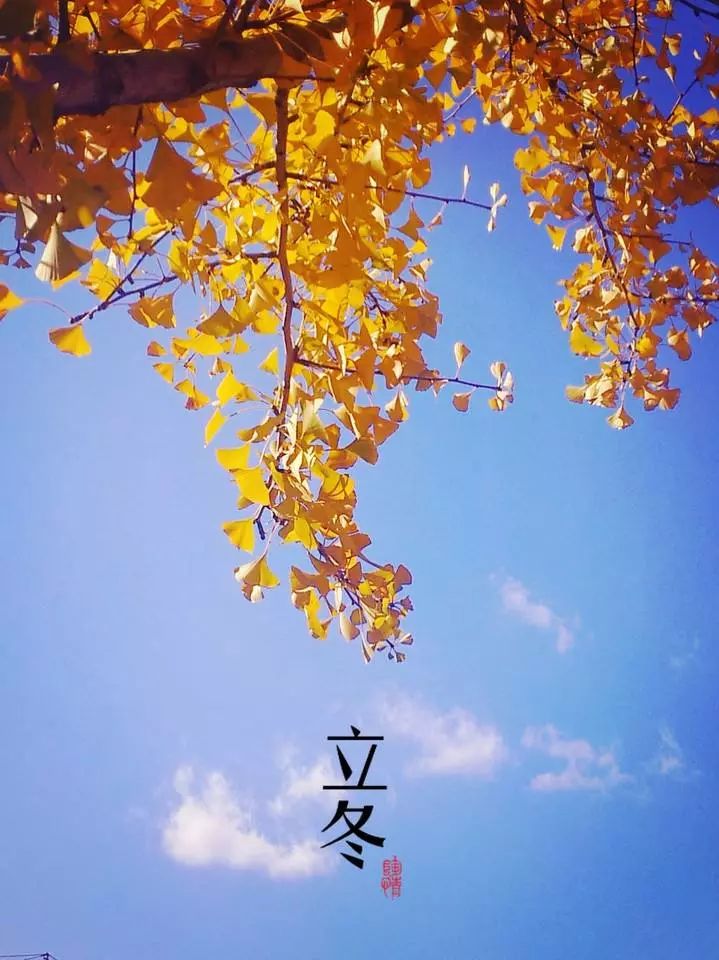 微信图片_20171107091009.jpg