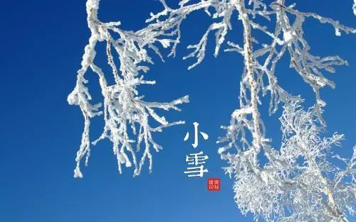 微信图片_1.jpg