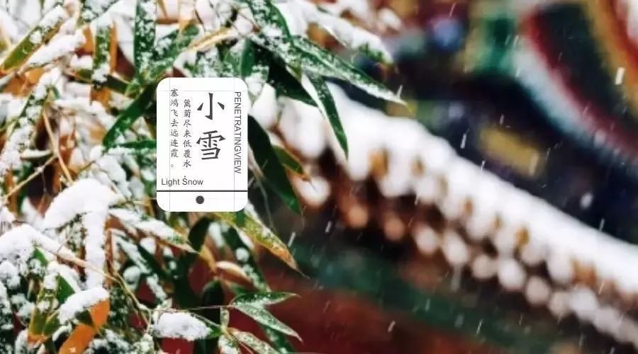 微信图片_13.jpg
