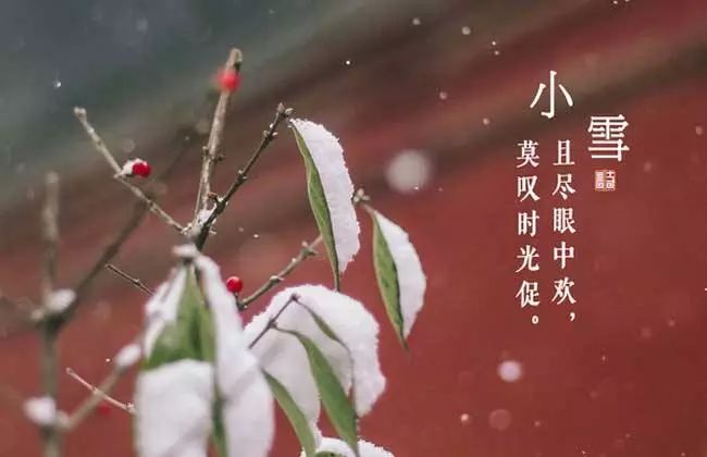 微信图片_14.jpg