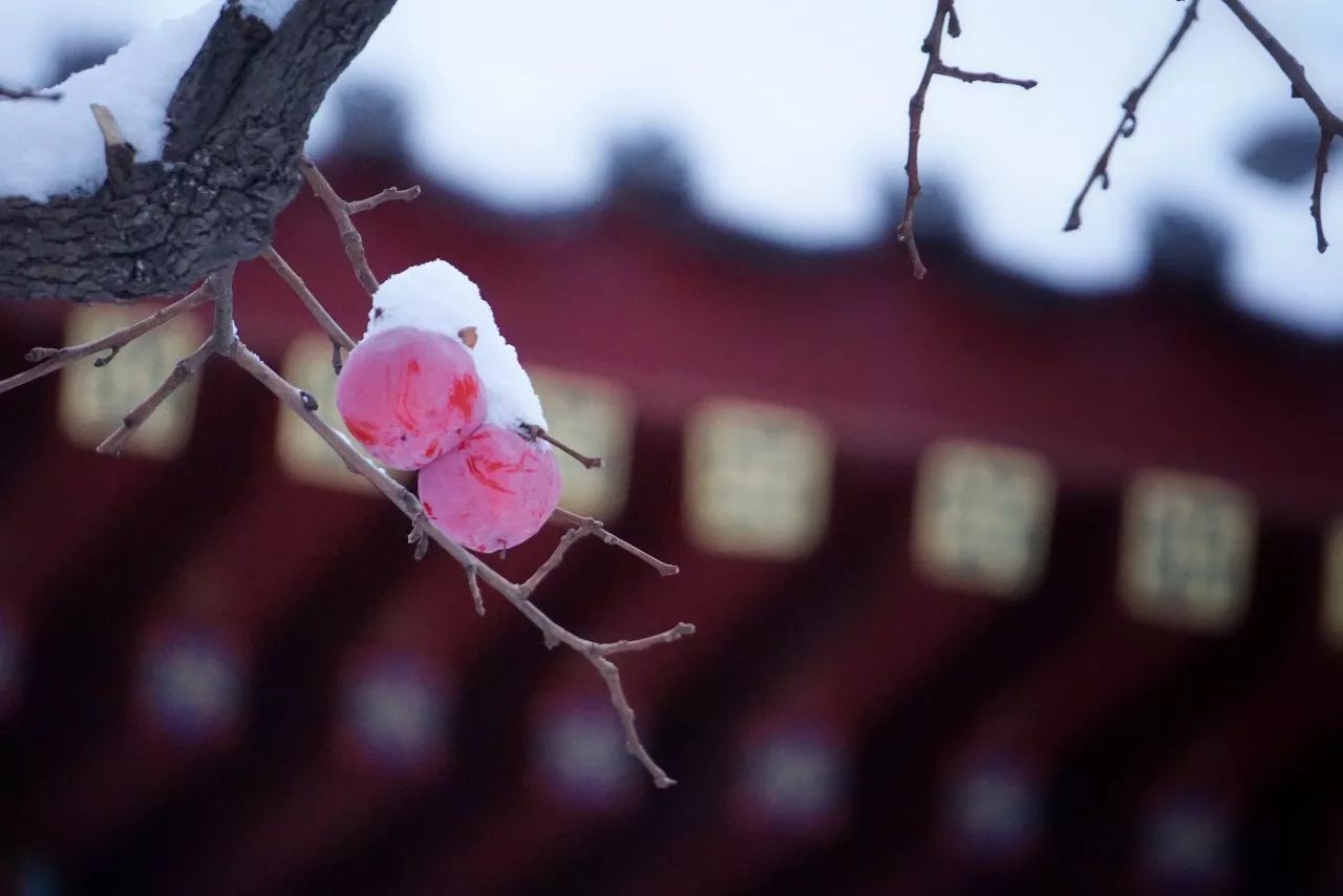 微信图片_20180108093308.jpg