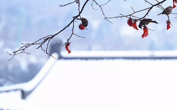 微信图片_20180108094124.jpg