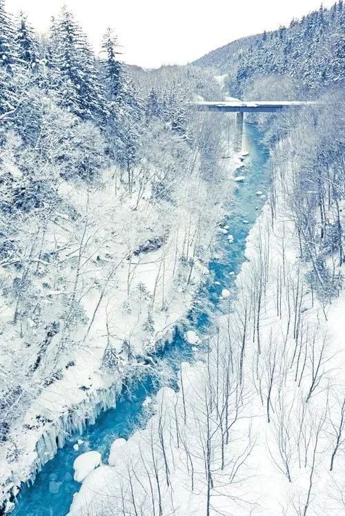 微信图片_20180108094128.jpg