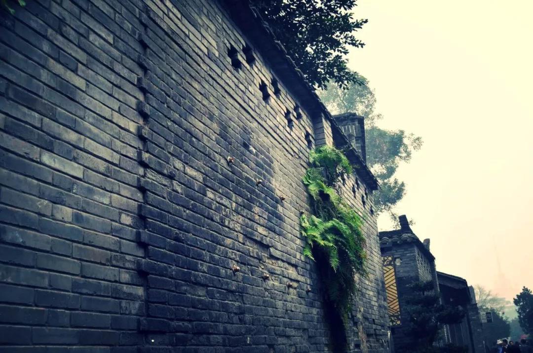 微信图片_20180427094946.jpg