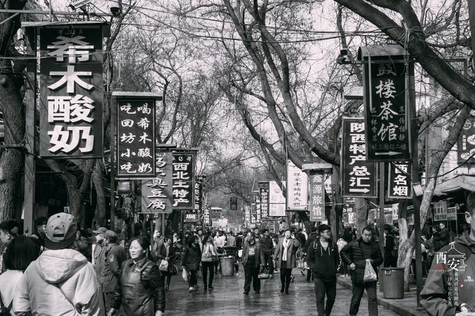 图片51.jpg