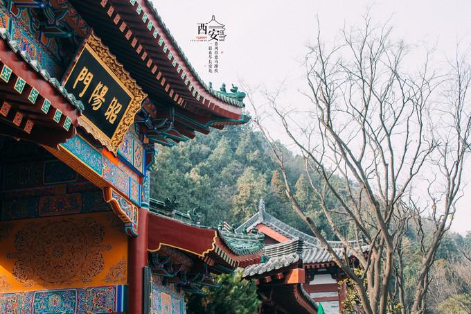 图片109.jpg