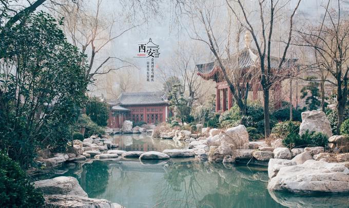 图片121.jpg