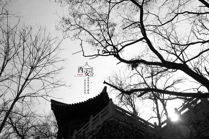 图片123.jpg