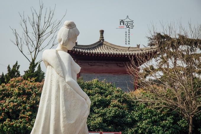图片164.jpg
