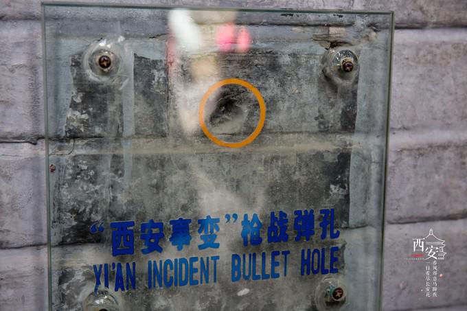 图片174.jpg