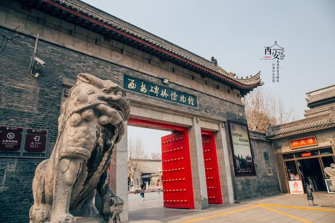 图片217.jpg