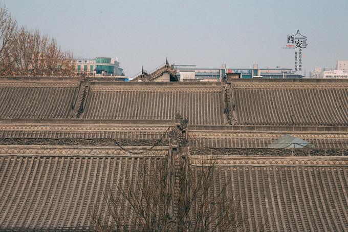 图片221.jpg