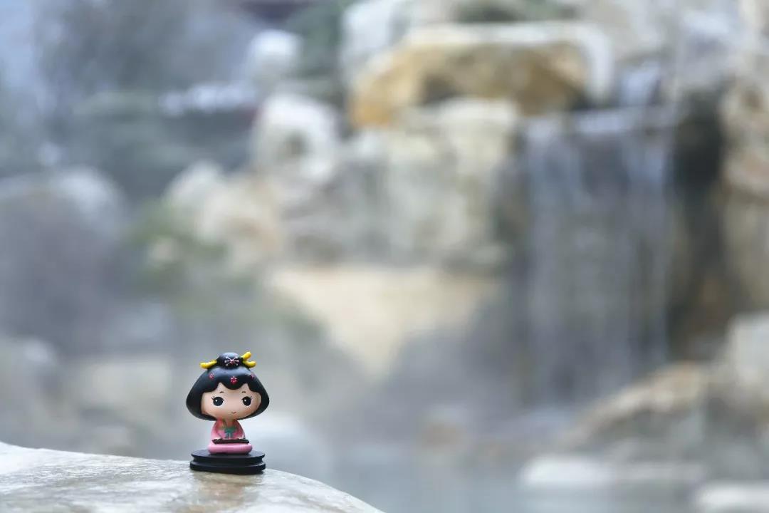 微信图片_20180129085025.jpg