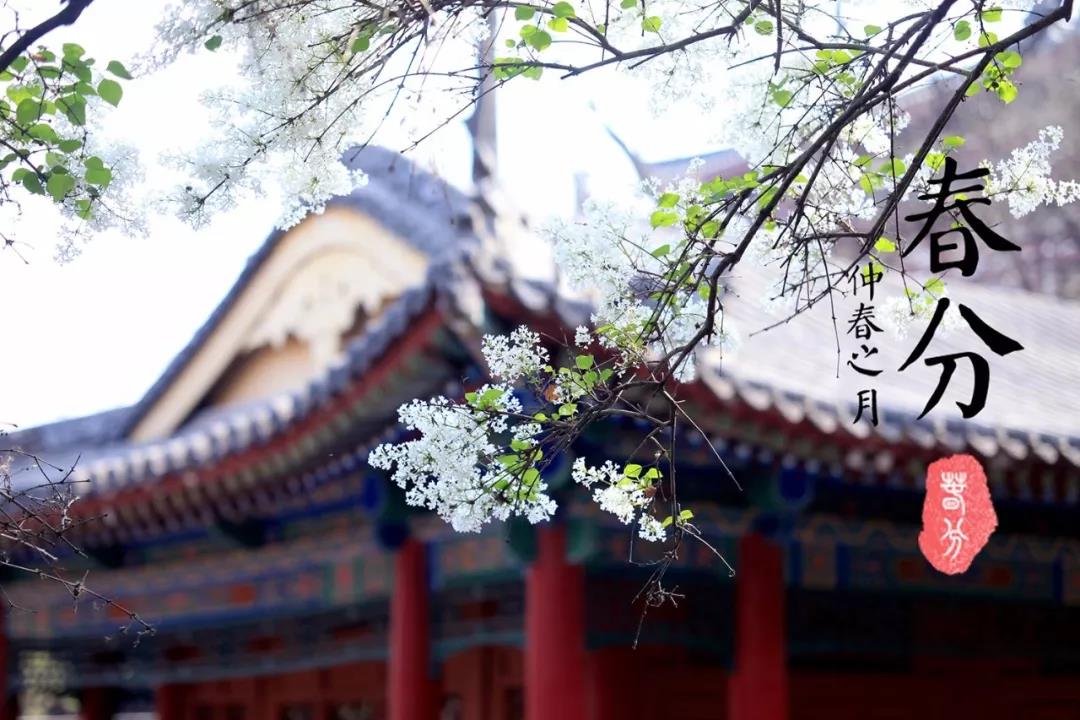 微信图片_20180321081712.jpg