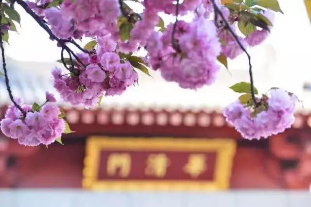 微信图片_20180410144133.jpg