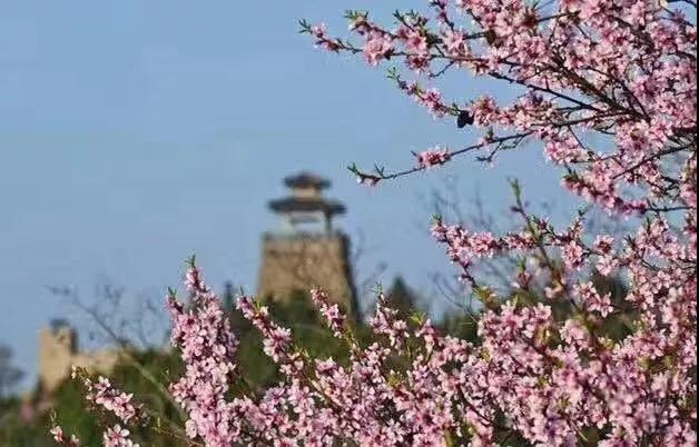 微信图片_20180423090408.jpg