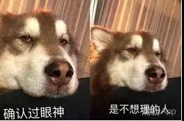 微信图片_20180507095127.jpg