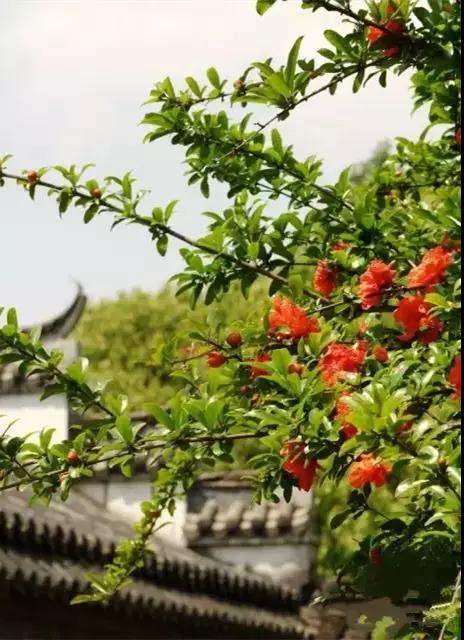 微信图片_20180511092817.jpg