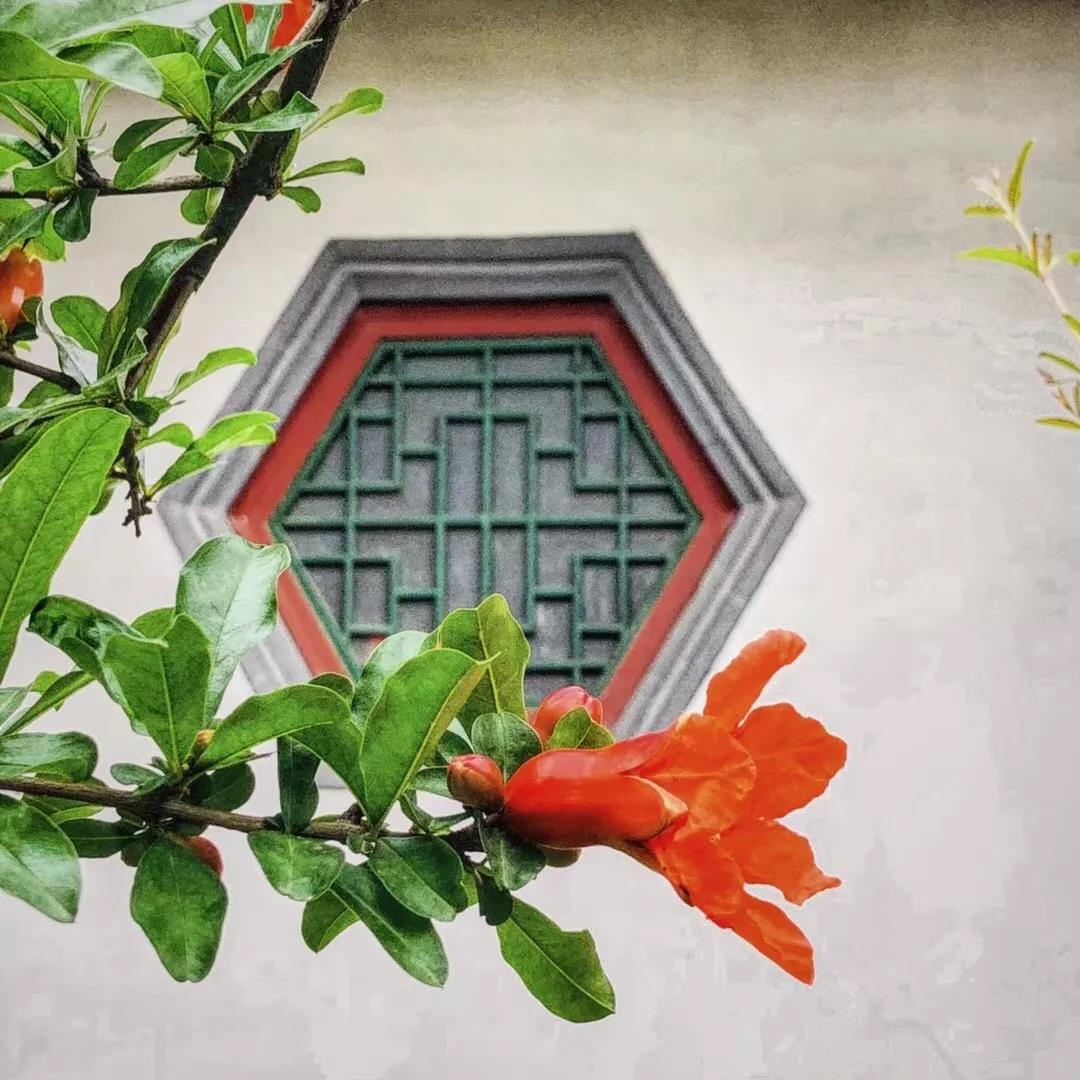 微信图片_20180511092903.jpg