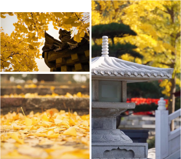 微信图片_20201020092115.png