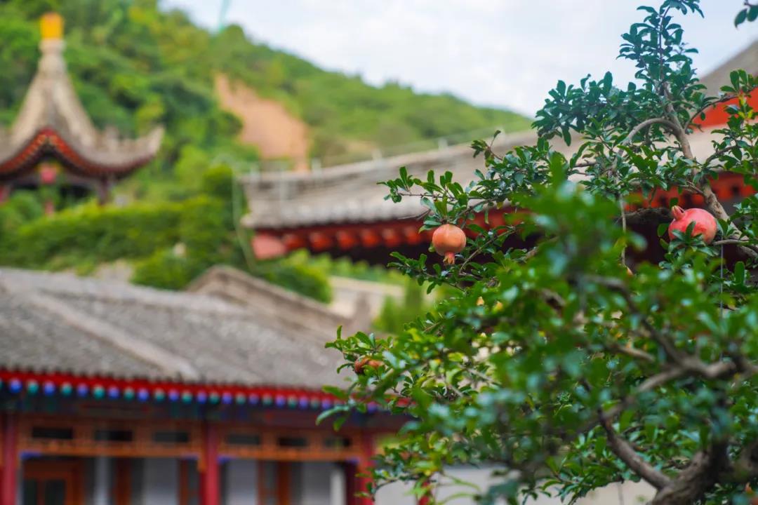 微信图片_20201026091819.jpg